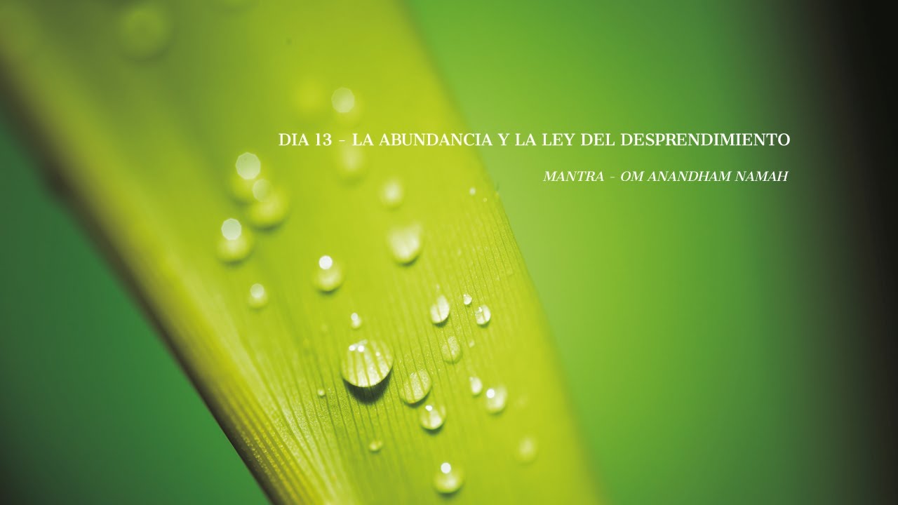Día 13 Reto de Meditación Creando Abundancia