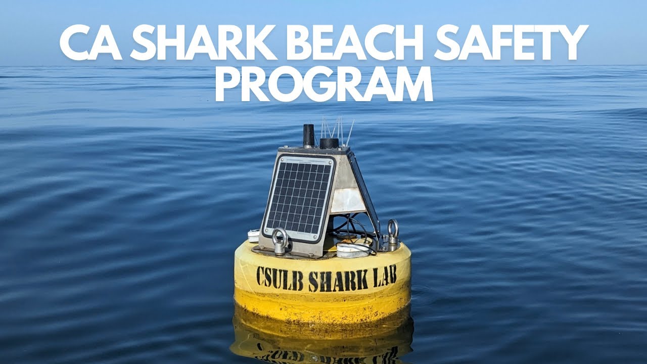 California Shark Beach Safety Program