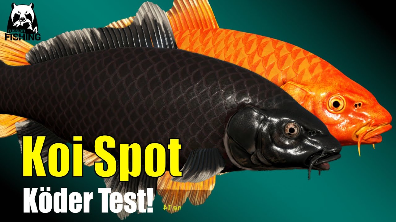 Russian Fishing 4 - Kupfersee - Neuer Koi Spot??? Neutraler Futter im Test