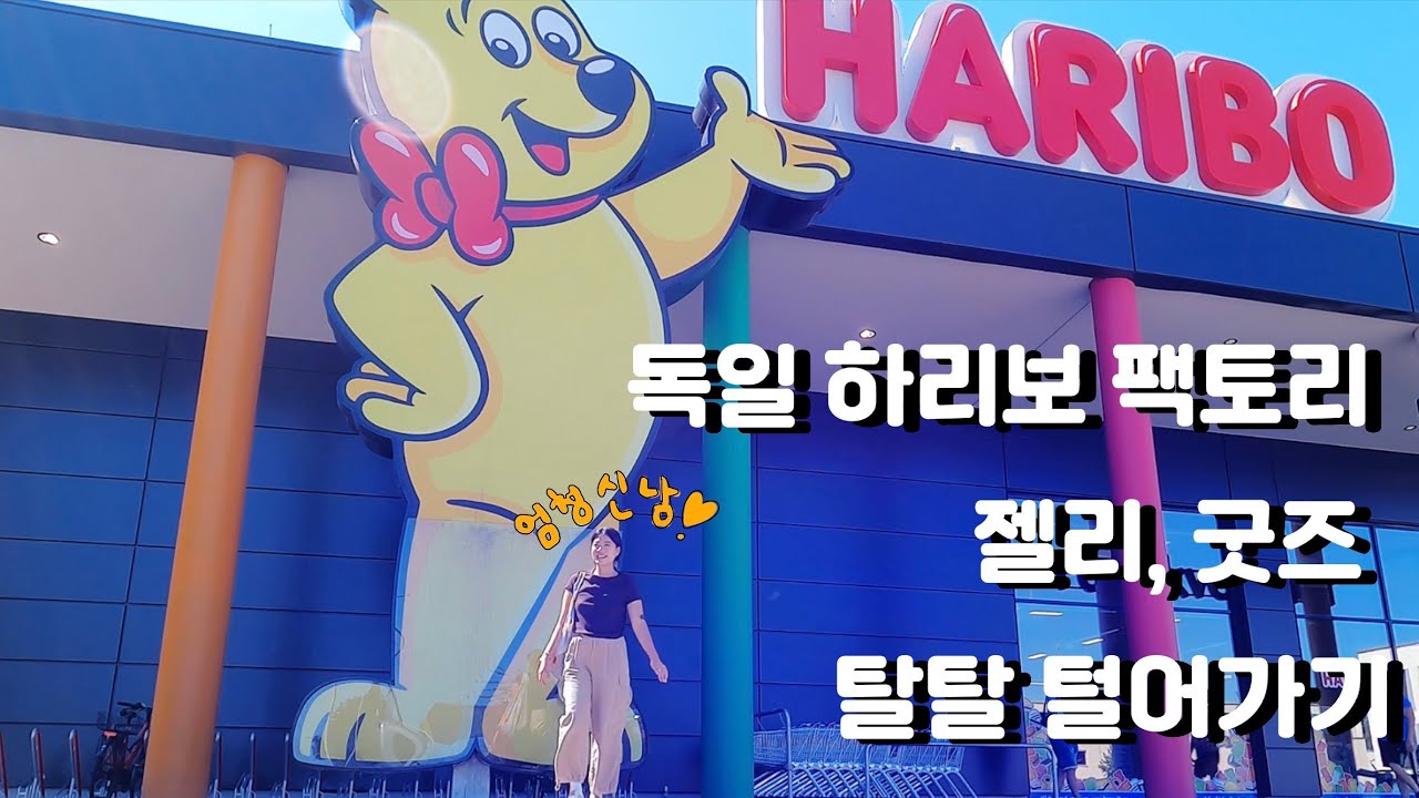 🇩🇪 독일 하리보 본(BONN)점ㅣ하리보 팩토리ㅣ하리보 굿즈ㅣ우리나라에 없는 젤리 천국