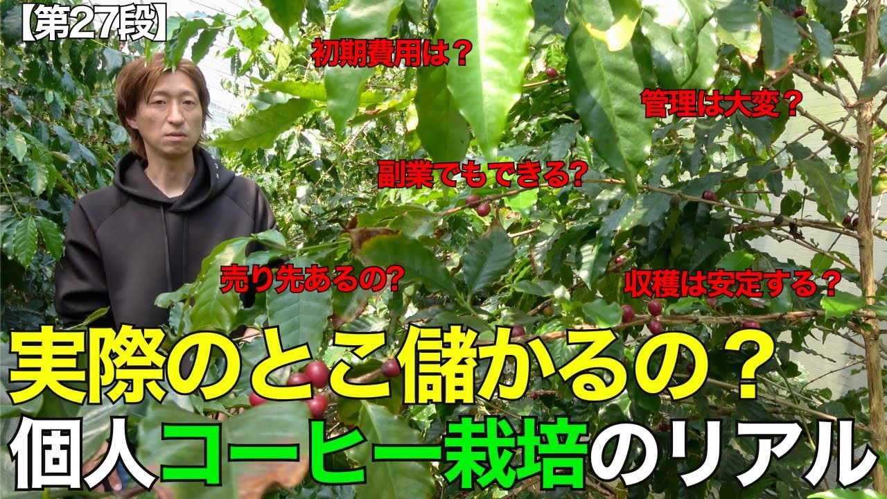 〜第27段〜【個人コーヒー栽培農家直撃】岡山県北部でコーヒー栽培始めて3年の個人農家さんのリアルを聞いてきました。#岡山 #農業 #家庭菜園 #ビニールハウス#農地#コーヒー  #国産コーヒー