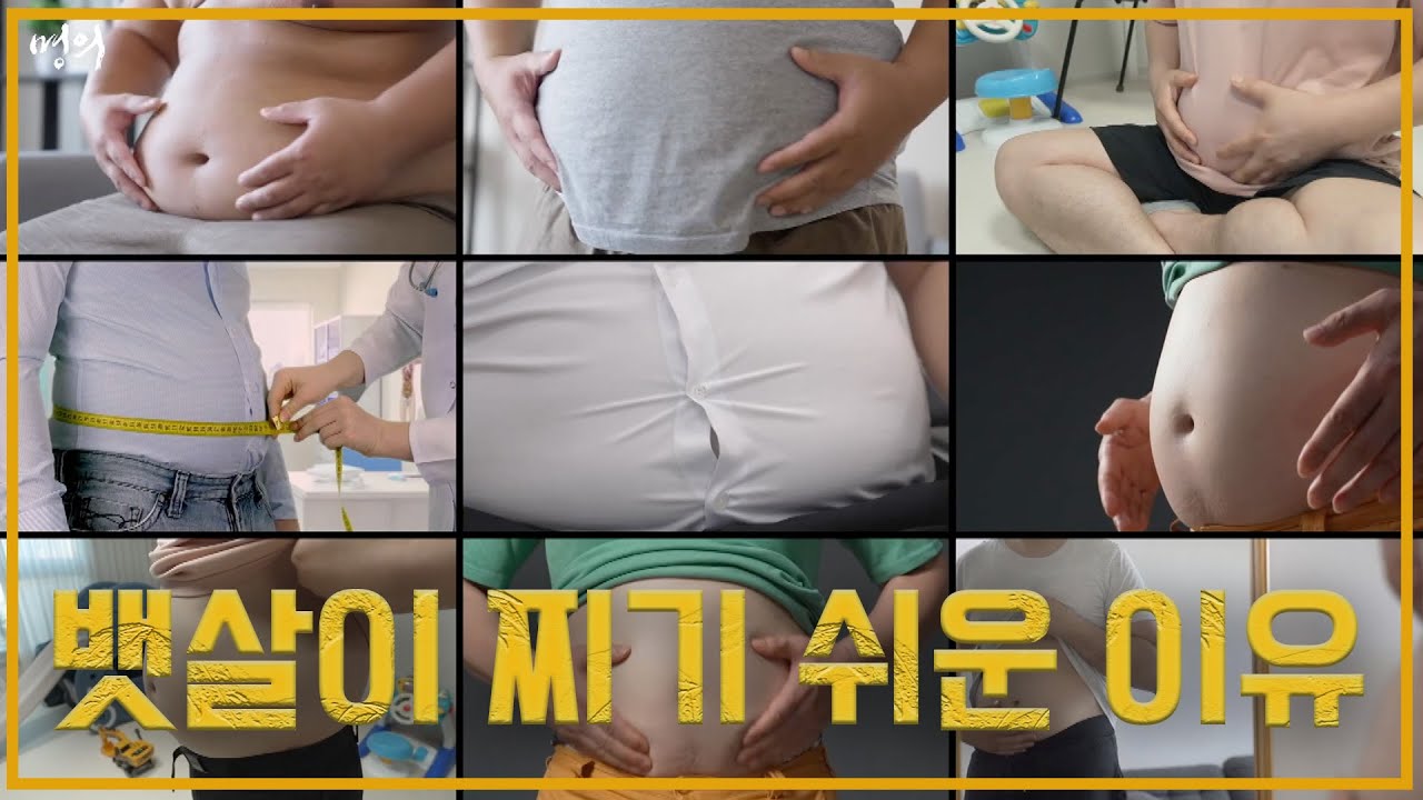 뱃살이 찌기 쉬운 이유 | 복부비만 | 명의 | #EBS건강