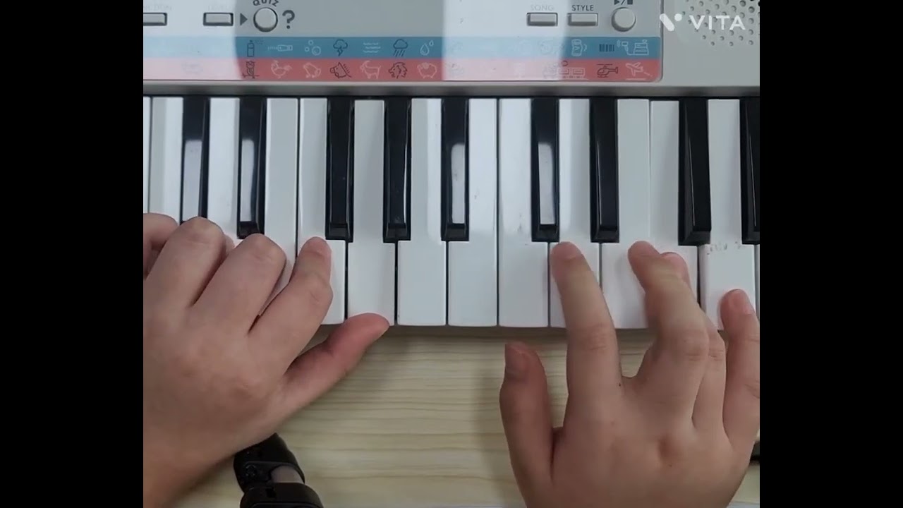 아기 꼬마 벌 연주