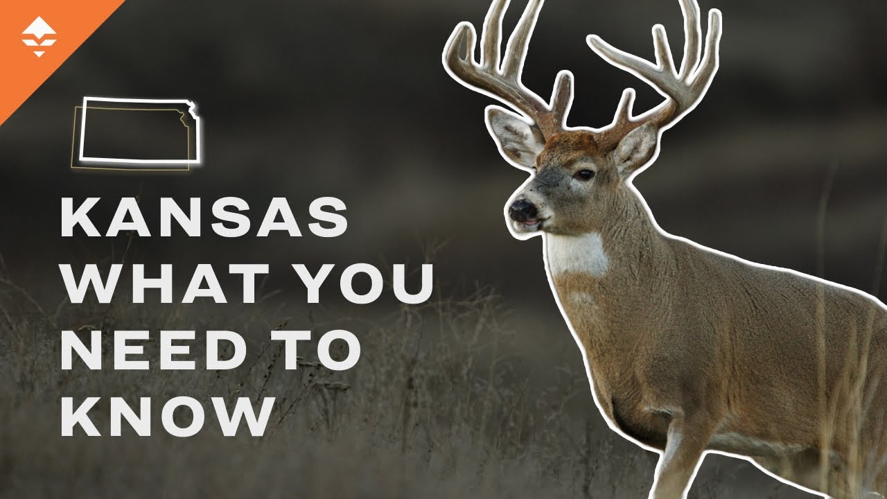 HOW TO GO HUNTING IN KANSAS