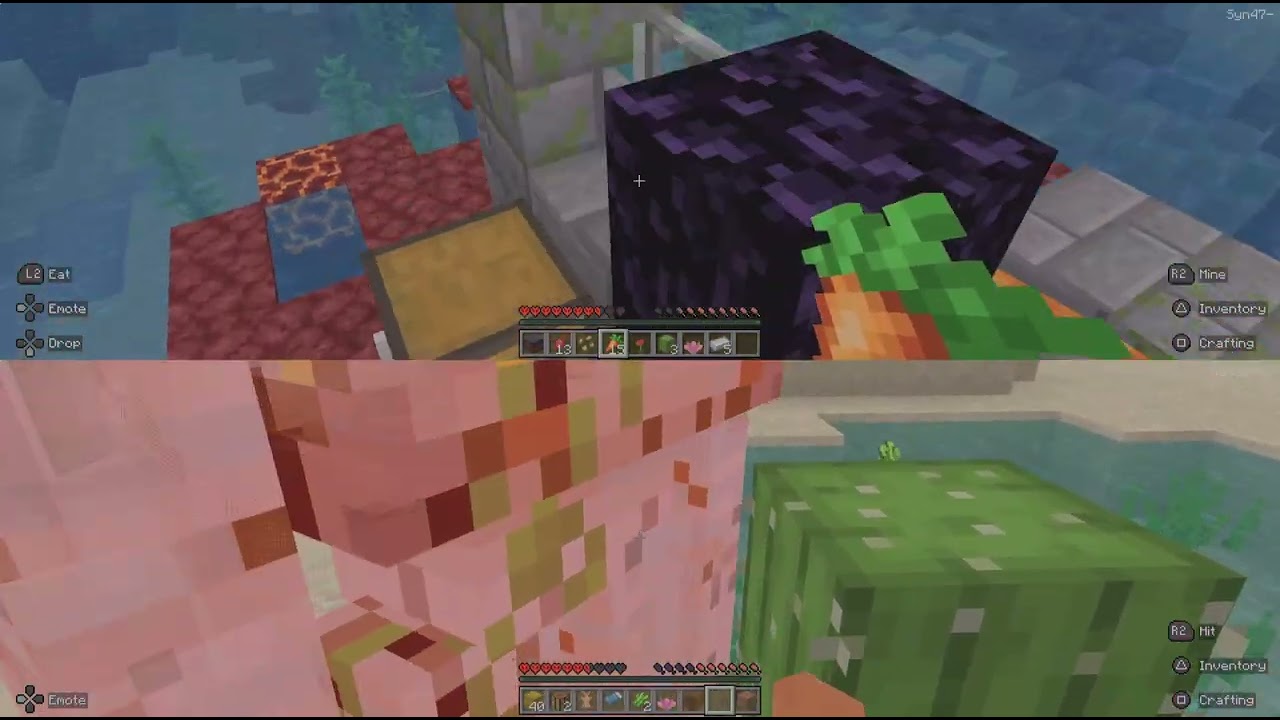 Minecraft_20260215172111