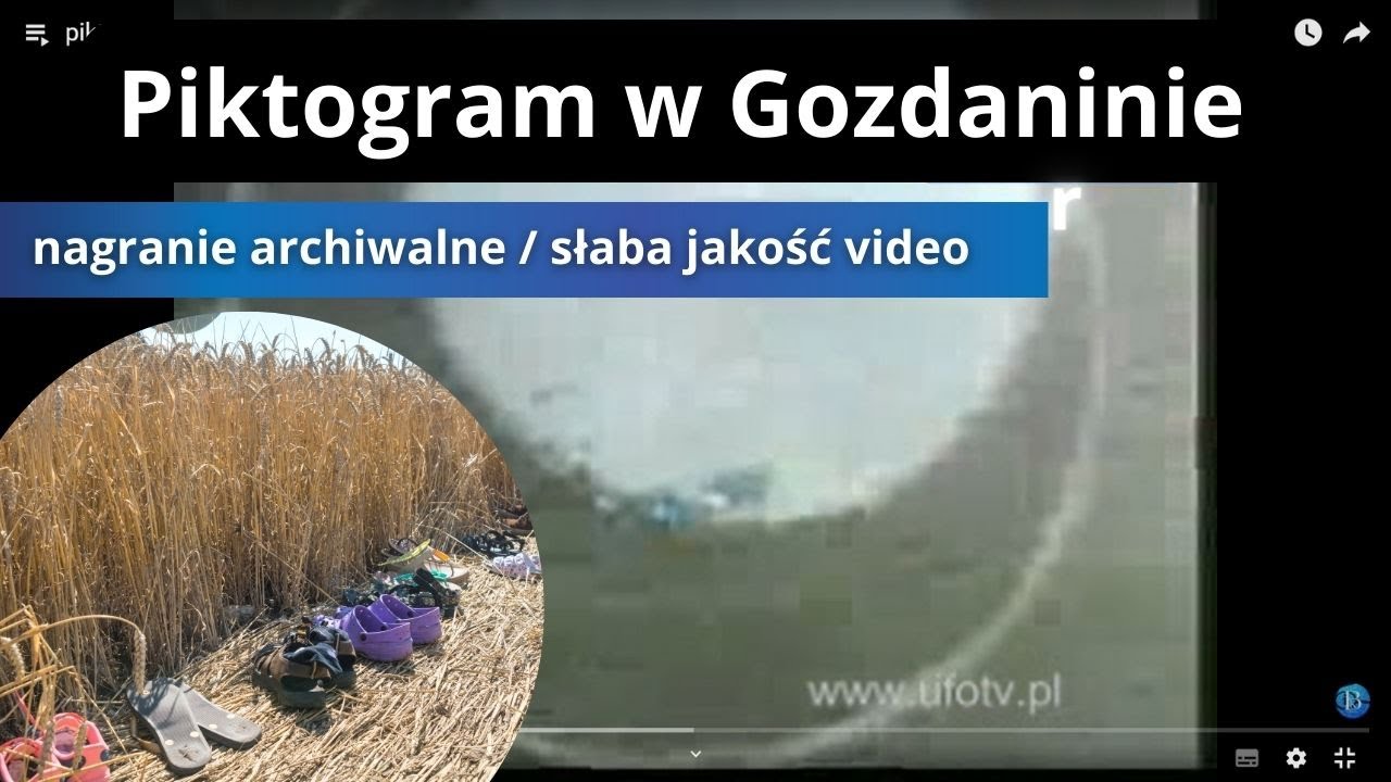 piktogram w gozdaninie