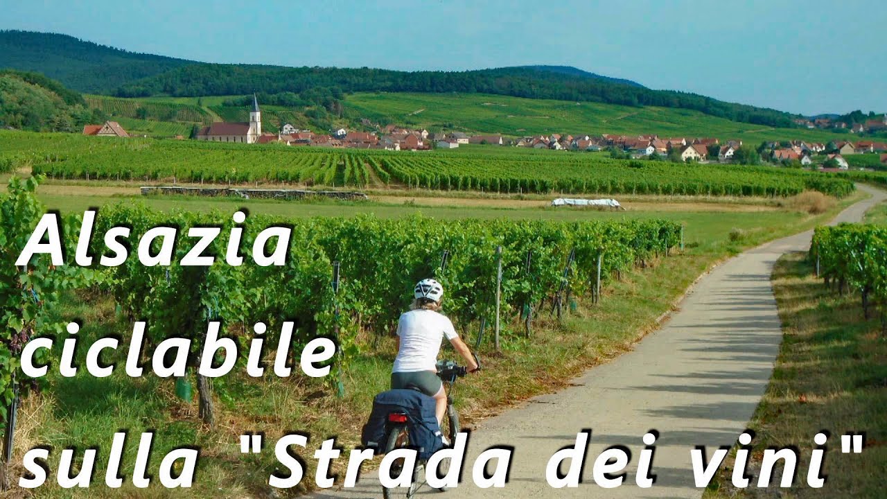 BicIdee-Alsazia-Ciclabile Sulla strada dei vini Colmar-Strasburgo - La Route des Vins d'Alsace