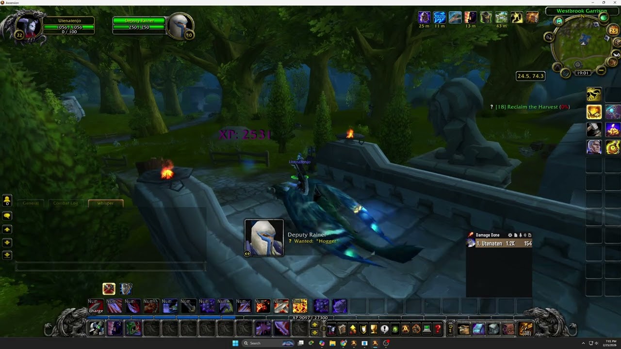 Ascension Bronzebeard war leveling pigs are stingy
