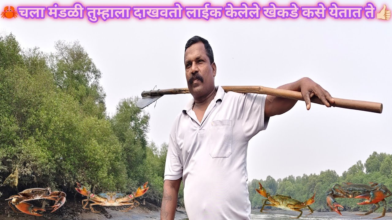 👍🏻चला मंडळी तुम्हाला दाखवतो लाईक केलेले खेकडे कसे येतात ते🦀#कोळी #viral #seafood #indian #trending  