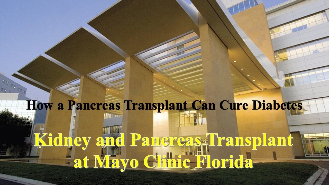 How a pancreas transplant can cure diabetes