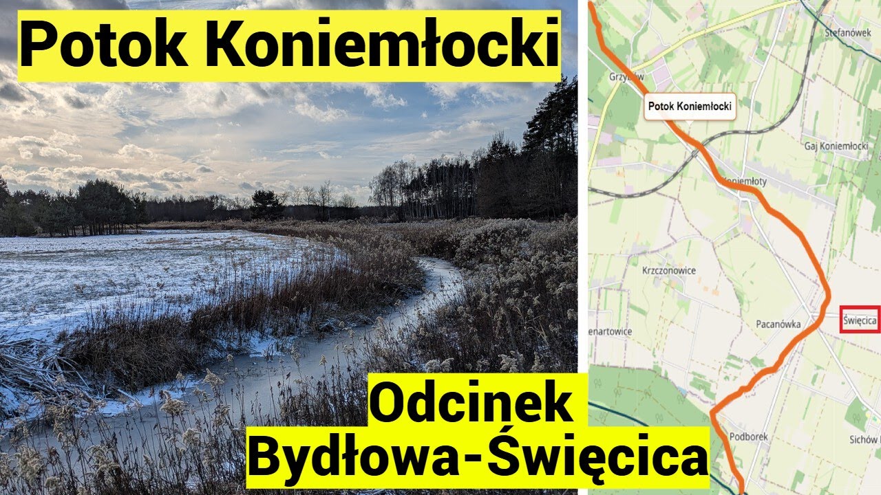 Przemierzam Potok Koniemłocki! Odcinek Bydłowa - Święcica.