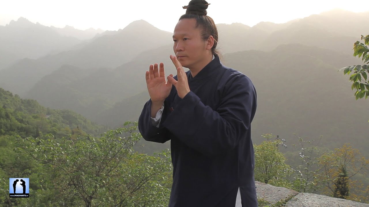 Wudang Taichi - Yuan Limin
