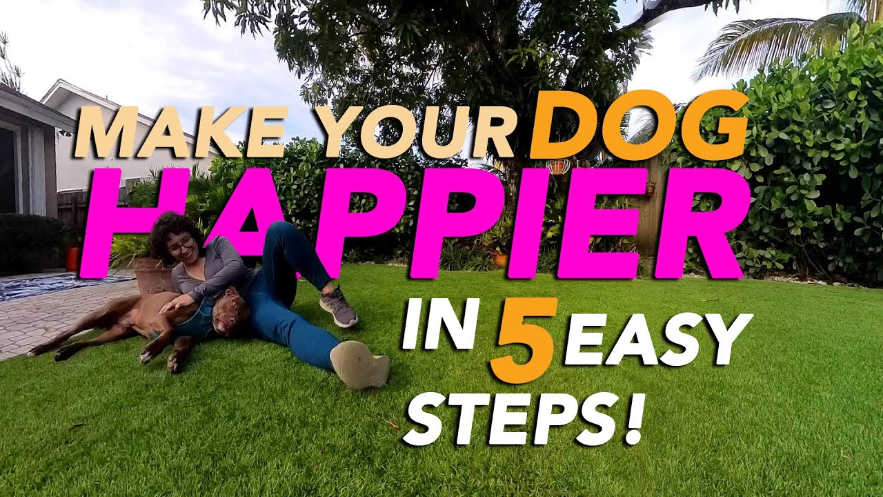 5 Heartwarming Ways to Strengthen Your Bond with Your Dog This Valentine&rsquo;s Day