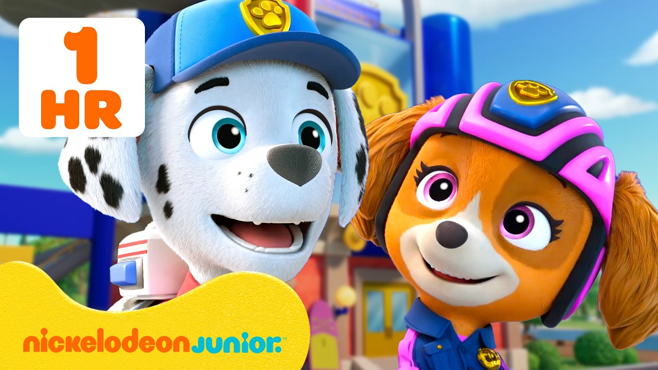 PAW Patrol | La Pat’ Patrouille à la Rescousse: Missions #3 | Nickelodeon Jr. France