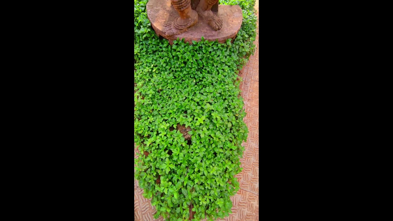 Rock Sculpture in ODISHA.🛠