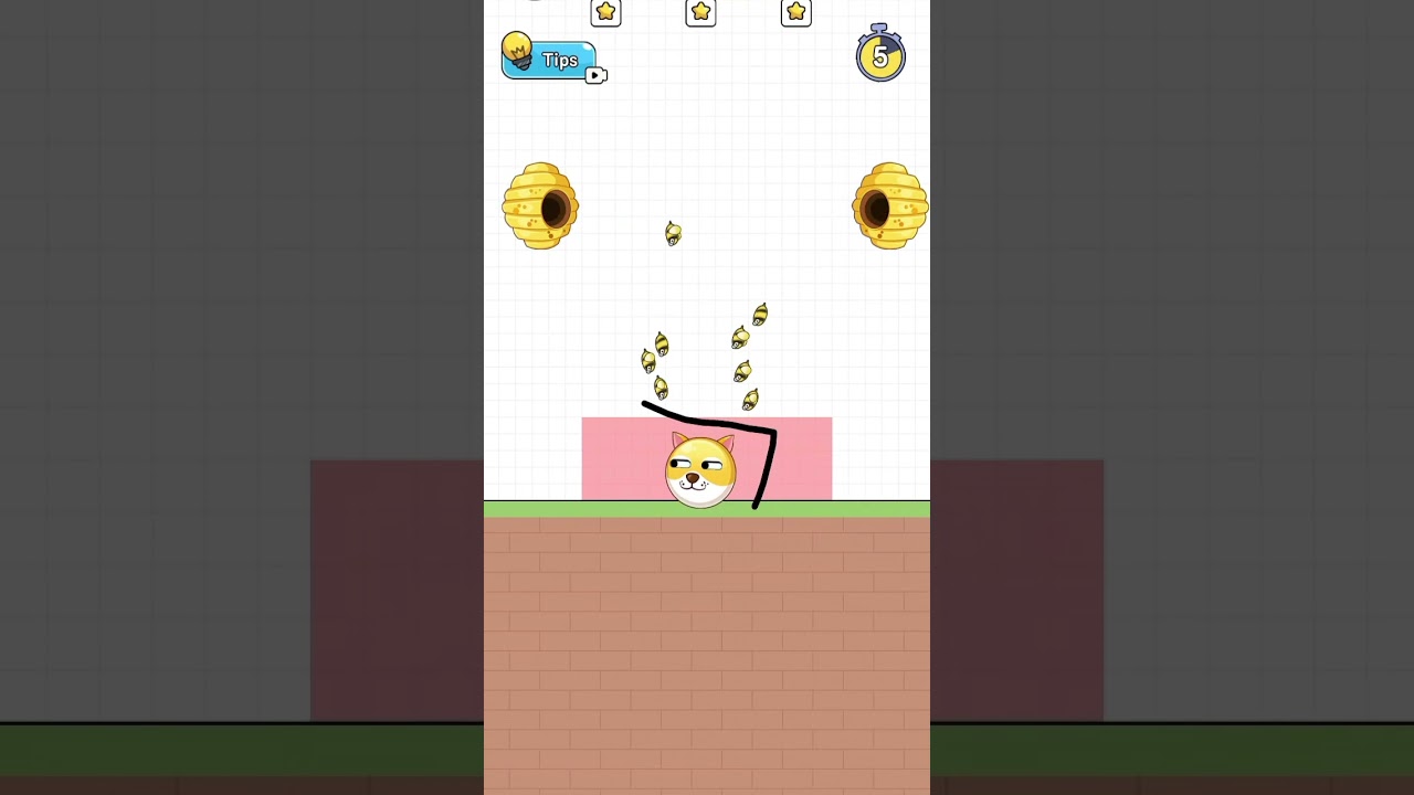 save the dog challenge 6