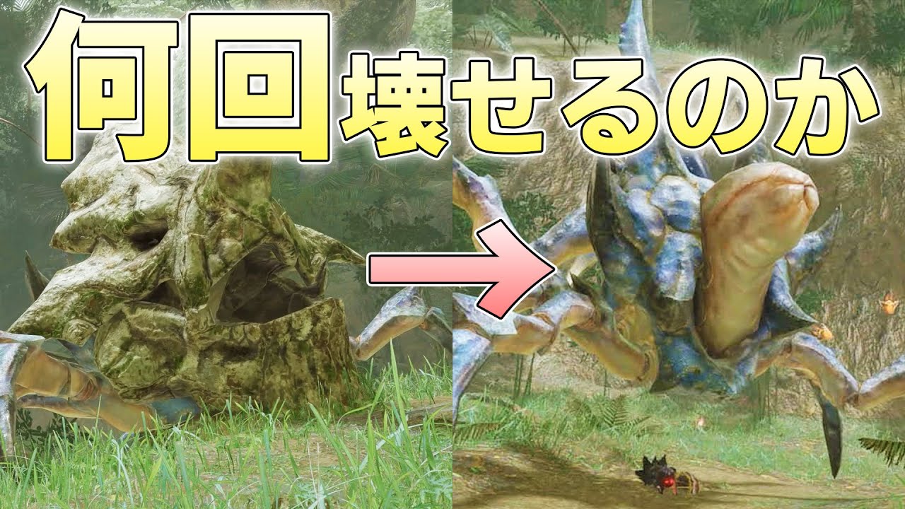 ショウグンギザミのヤド交換に限界はあるのか【モンハンライズサンブレイク実況】