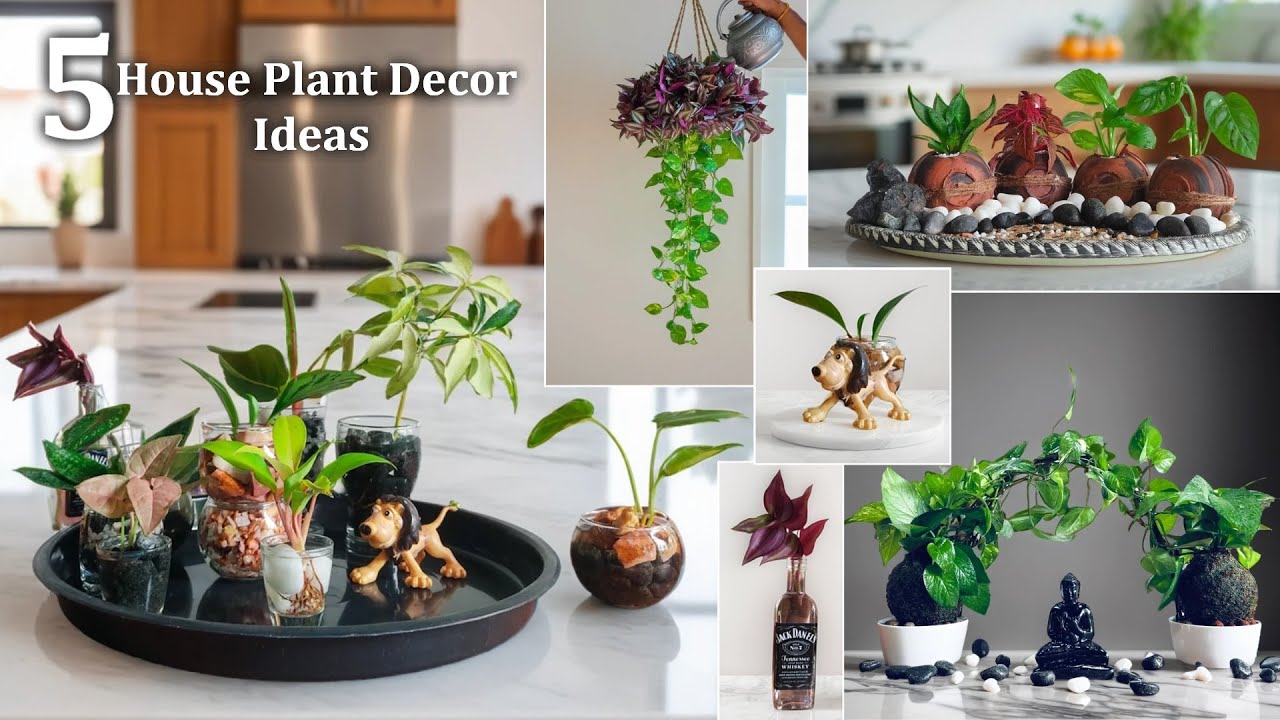 5 House Plant Decor Ideas That Instantly Make Your Home Look Expensive |  Plants Ideas//GREEN PLANTS