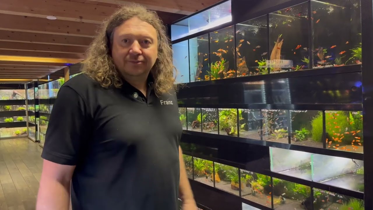GIGA-ZOO – dein Aquaristik-Ort Bayerns