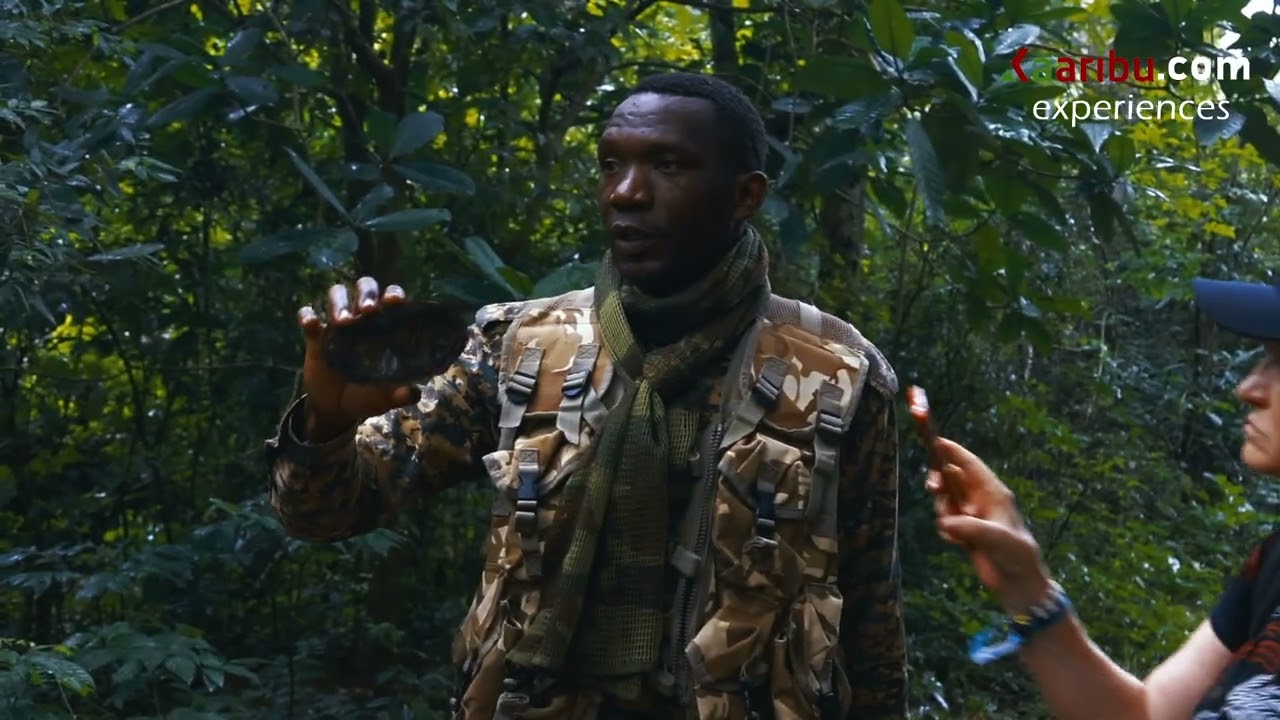 Full Day Shimba Hills Tour with Shifoga Nature Trail