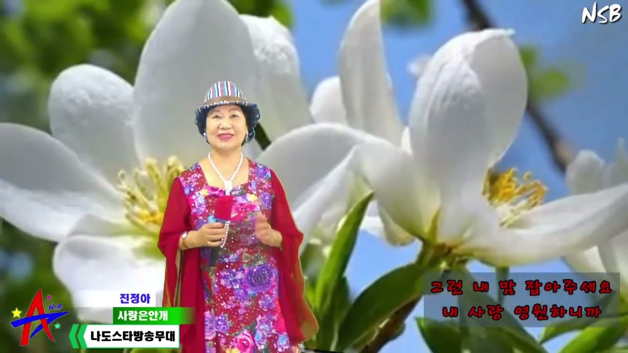 진정아노래