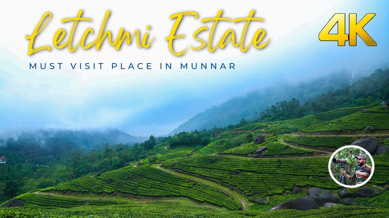 Letchmi Estate Munnar !!!  4K