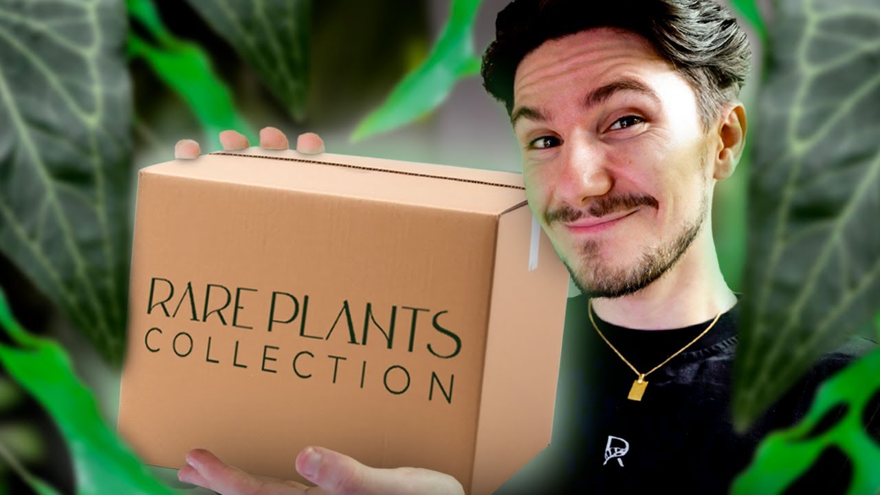 J'ai reçu un colis de plantes rares ! (le grand retour des plantes est arrivé)