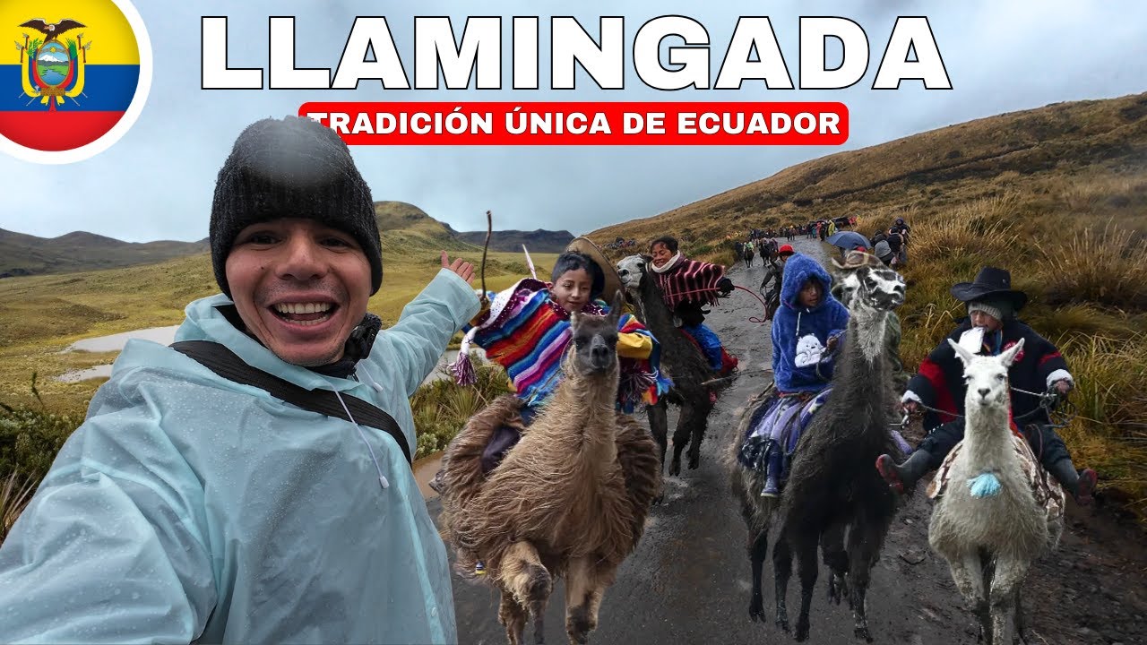 LLAMINGADA: Carreras de LLAMAS con NIÑOS en los páramos de Ecuador 🇪🇨 l  LLANGANATES - Geleocos