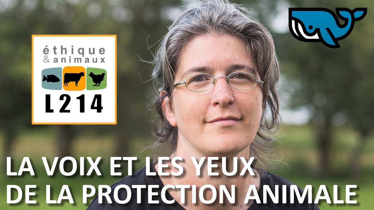 S02E01: L214: La voix et les yeux de la protection animale, Brigitte Gothière BALEINE SOUS GRAVILLON