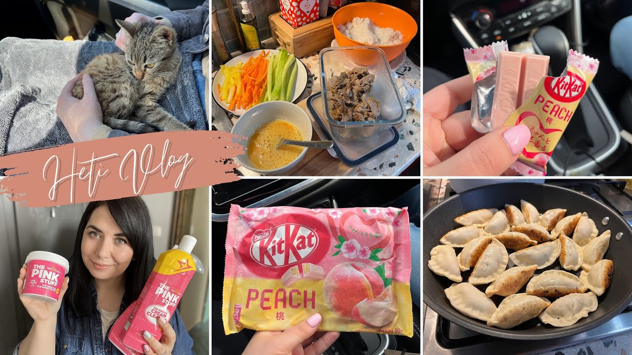 Takarítós vlog🌷🌸Pink Stuff termékek + ázsiai receptek és finomságok + cicát mentettünk!