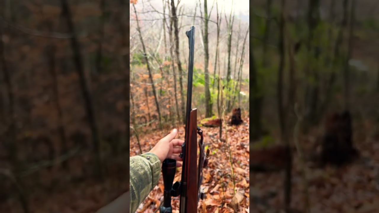 #remington  700 classic BDL