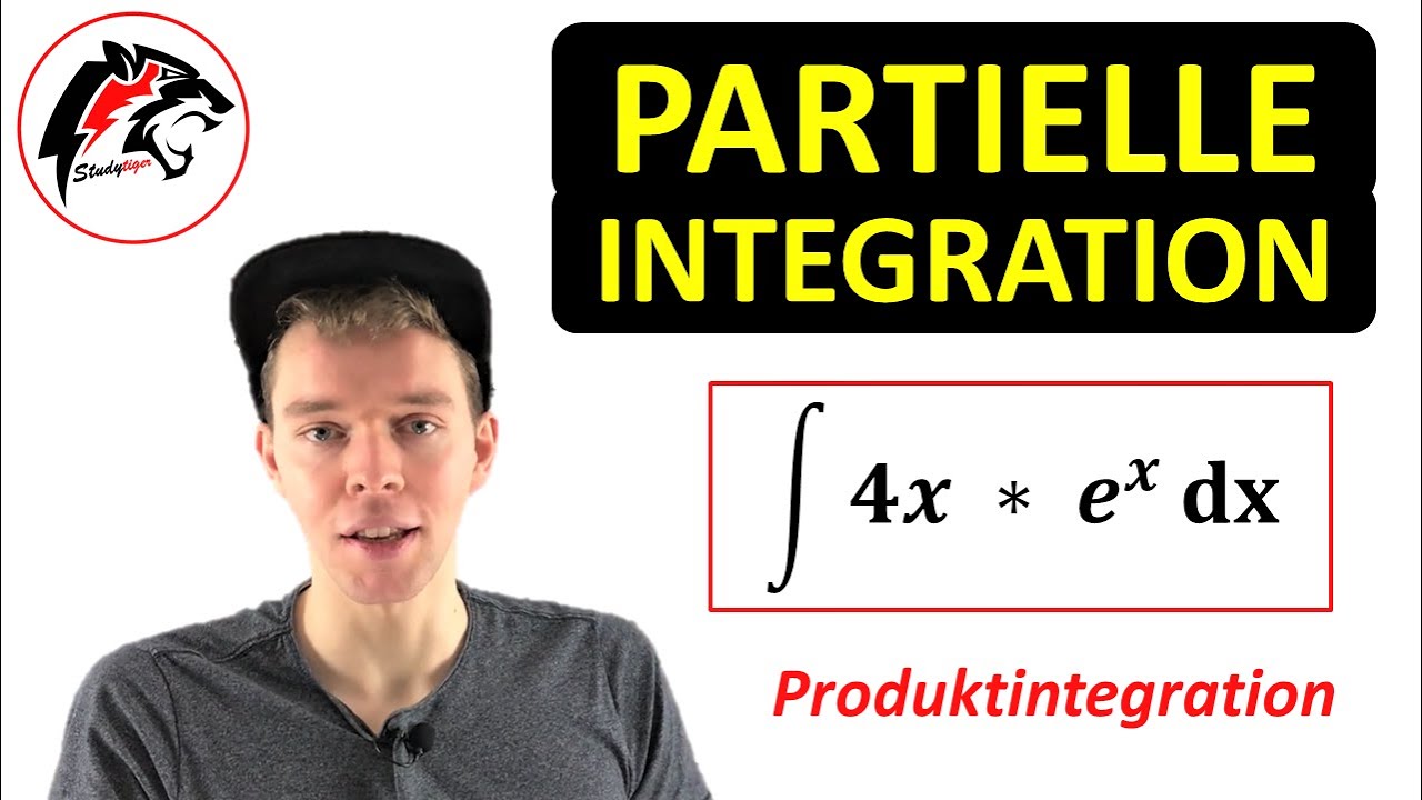 Partielle INTEGRATION (Produktintegration) mit e^x | Mathe Tutorial