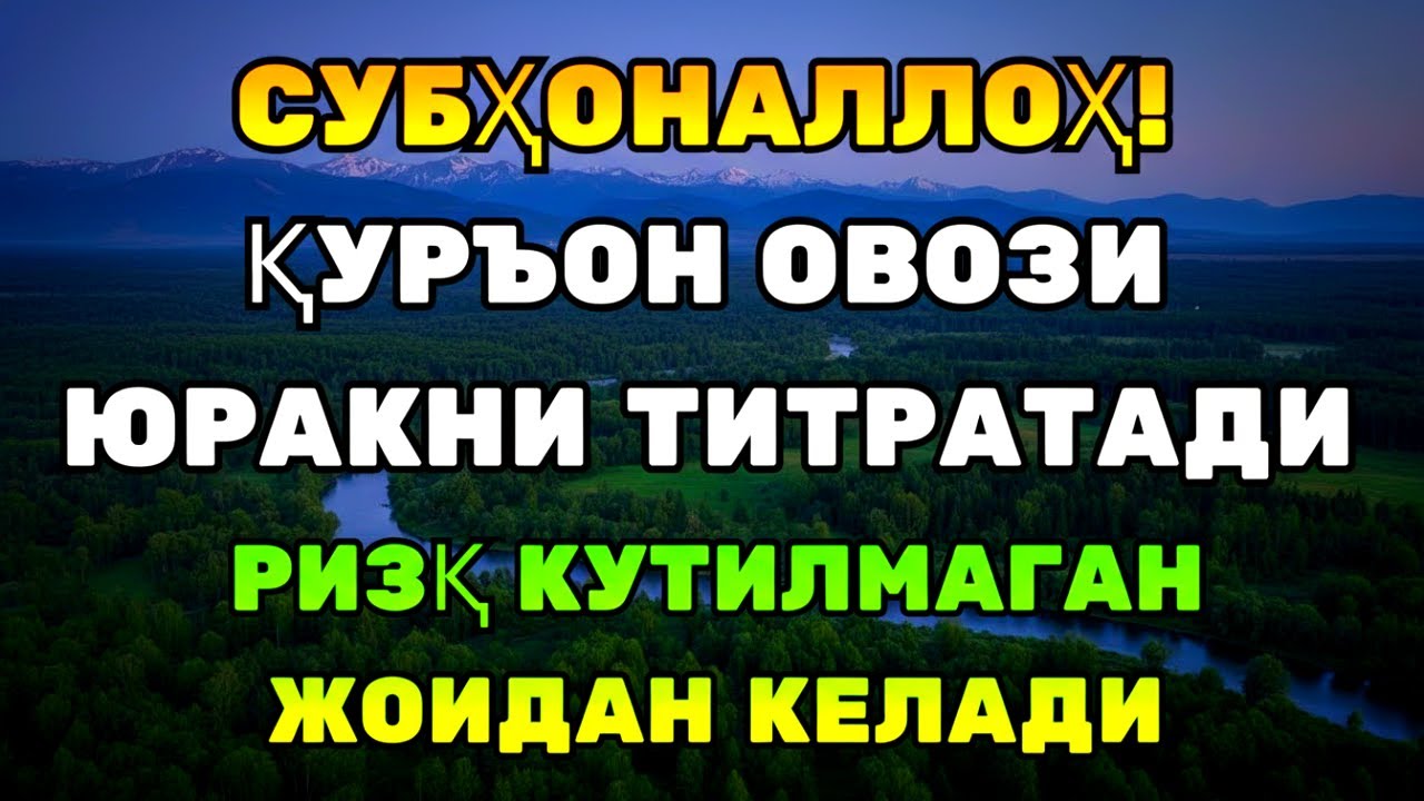 ВОЙ! ҚУРЪОН ОЯТЛАРИ ҚАЛБГА ТИНЧЛИК, ҲАЁТГА БАРАКА!