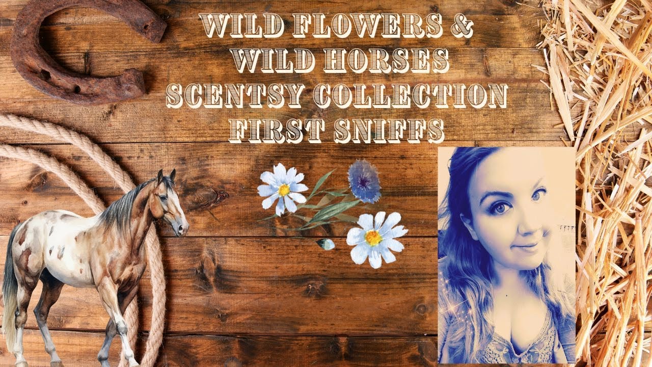 Scentsy Wild Flowers & Wild Horses Collection First Sniffs