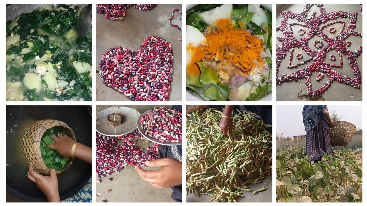 Сегодня я привёз навоз со своего поля. Сколько килограммов навоза я собрал со своего поля?