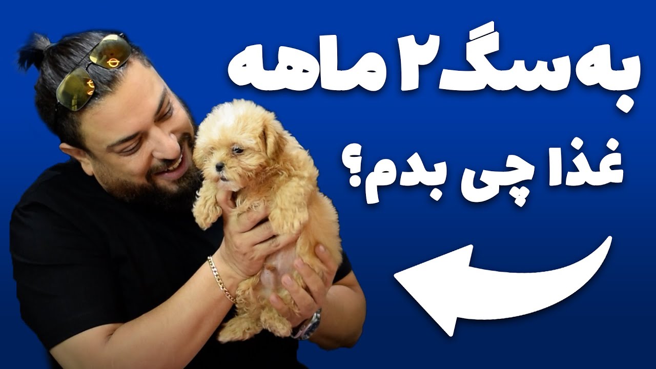 راهنمای تغذیه توله سگ (قسمت اول) ❌ به سگم چقدر غذا بدم