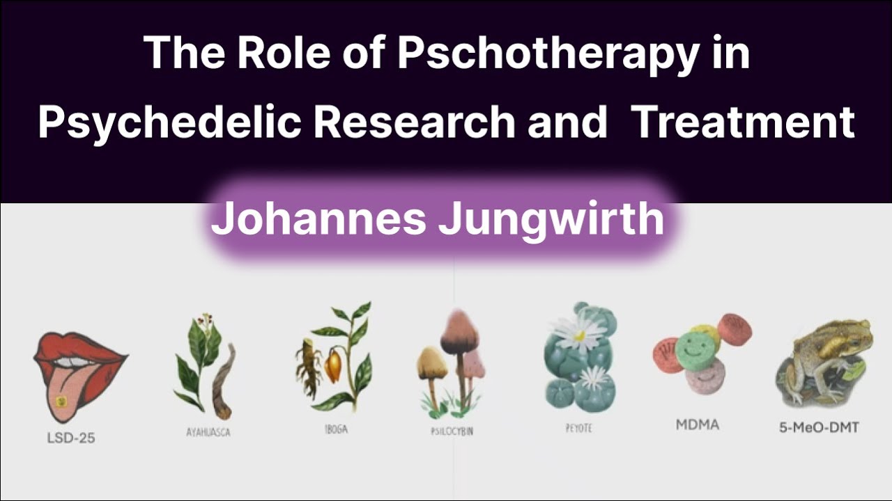 The Relevance of Psychotherapy in Psychedelic Treatment & Research
