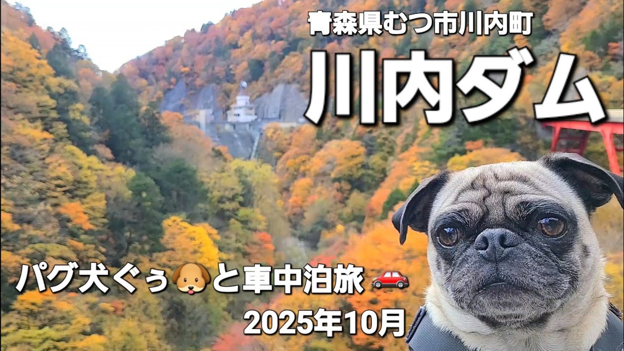 パグ犬ぐぅ🐶と車中泊旅 🚗 2025年10月 青森県むつ市「川内ダム」