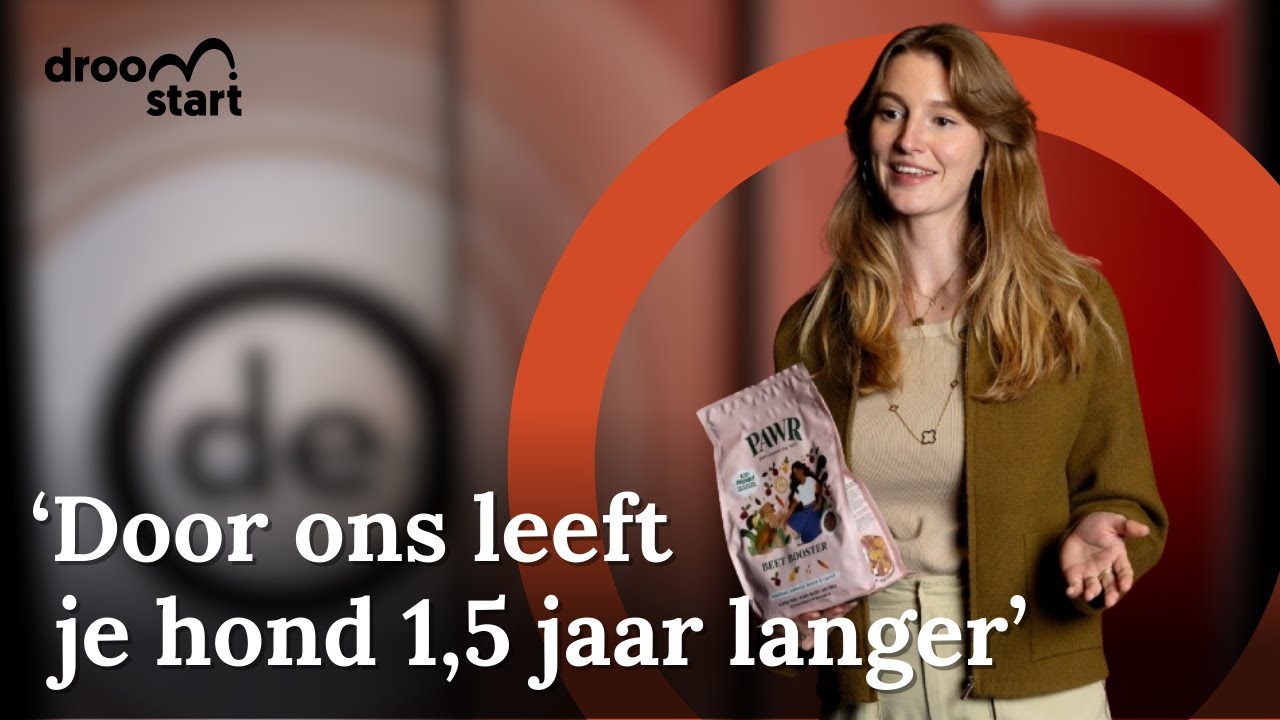 Van vegan hondenvoer tot de nieuwe Red Bull: 4 jonge ondernemers strijden om de ultieme Droomstart