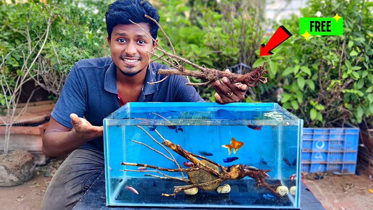 How to make Driftwood For Aquarium 🪵 | செலவே இல்லாமல் Driftwood செய்யலாம்!🥰