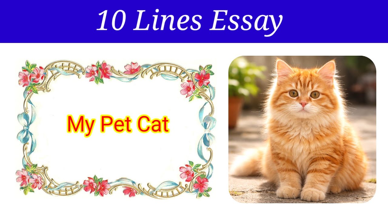 10 Lines Essay on My Pet Cat in english | My Pet Cat essay in english | My pet cat 10 lines essay