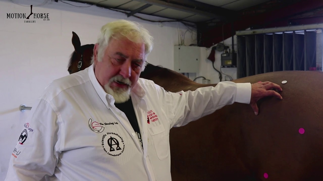 Building the Shoeing plan