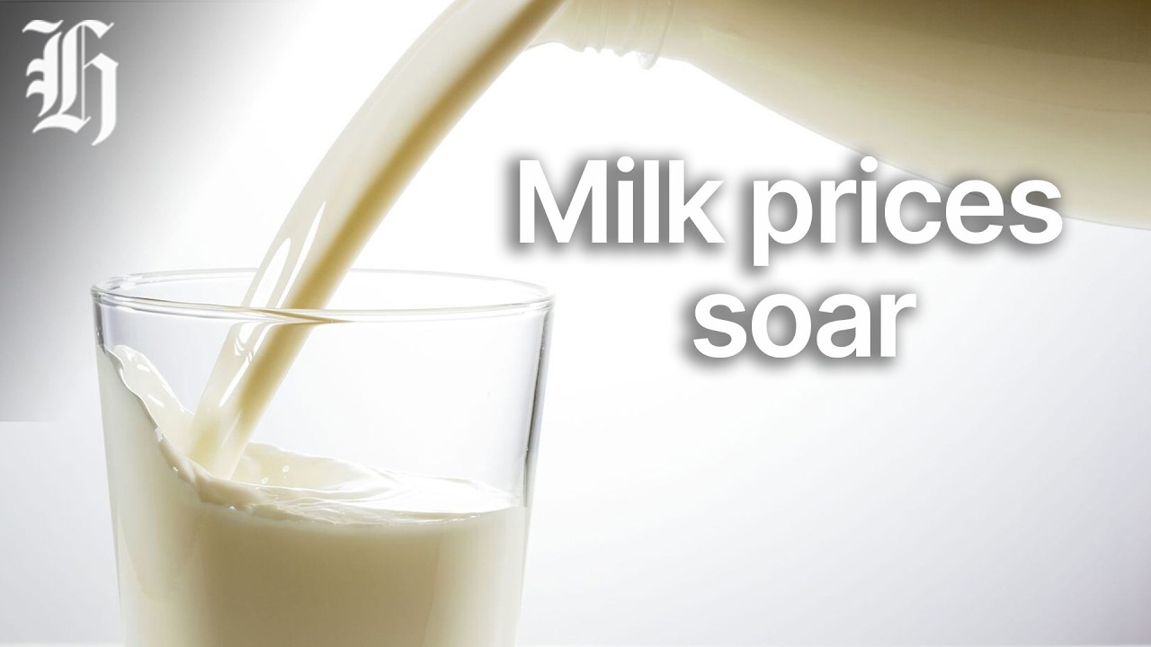 Jobs growth up but more looking, milk prices soar & $35m for fusion startup | Herald NOW