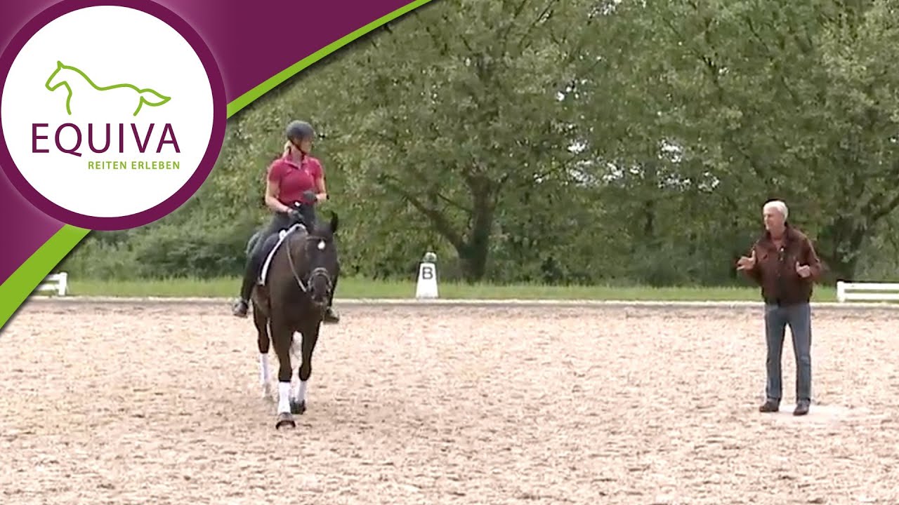 Ein Training mit Jean Bemelmans - Trainingseinheit auf L-Niveau