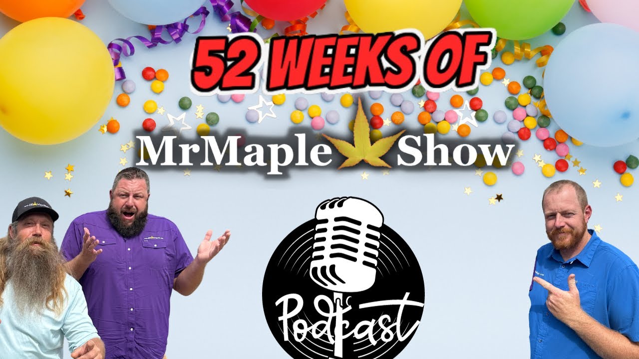 MrMaple Podcast Year End Review | One Full Year of Japanese Maple Talk Shows | Celebrating 52 Weeks