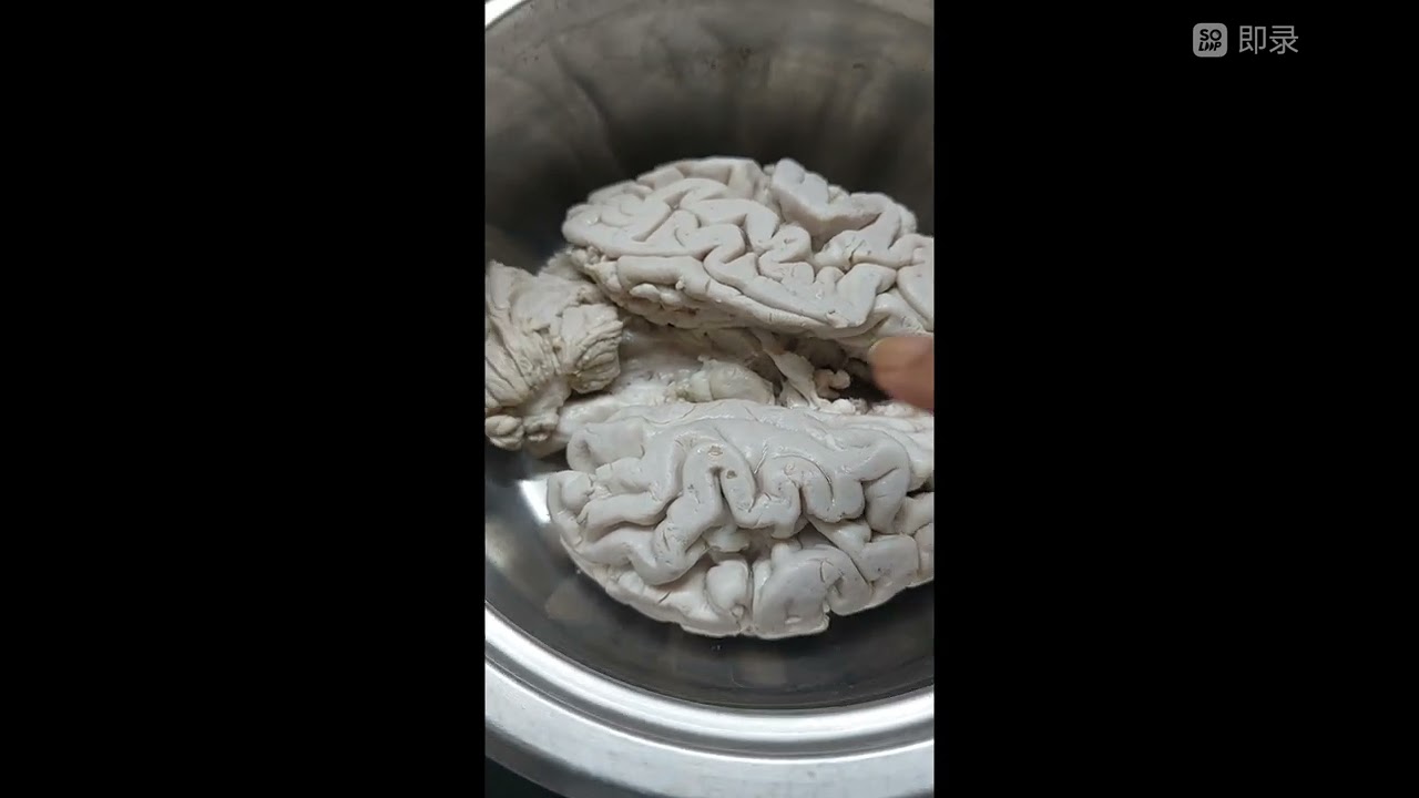 طرقة عمل طاجين المخ مشرمل على حلوو طريق