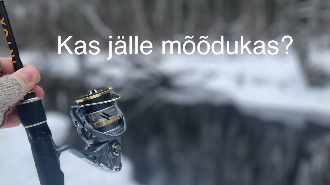 Hooaja teine jõeforellipüük. Kas tuleb uuesti mõõdukas?