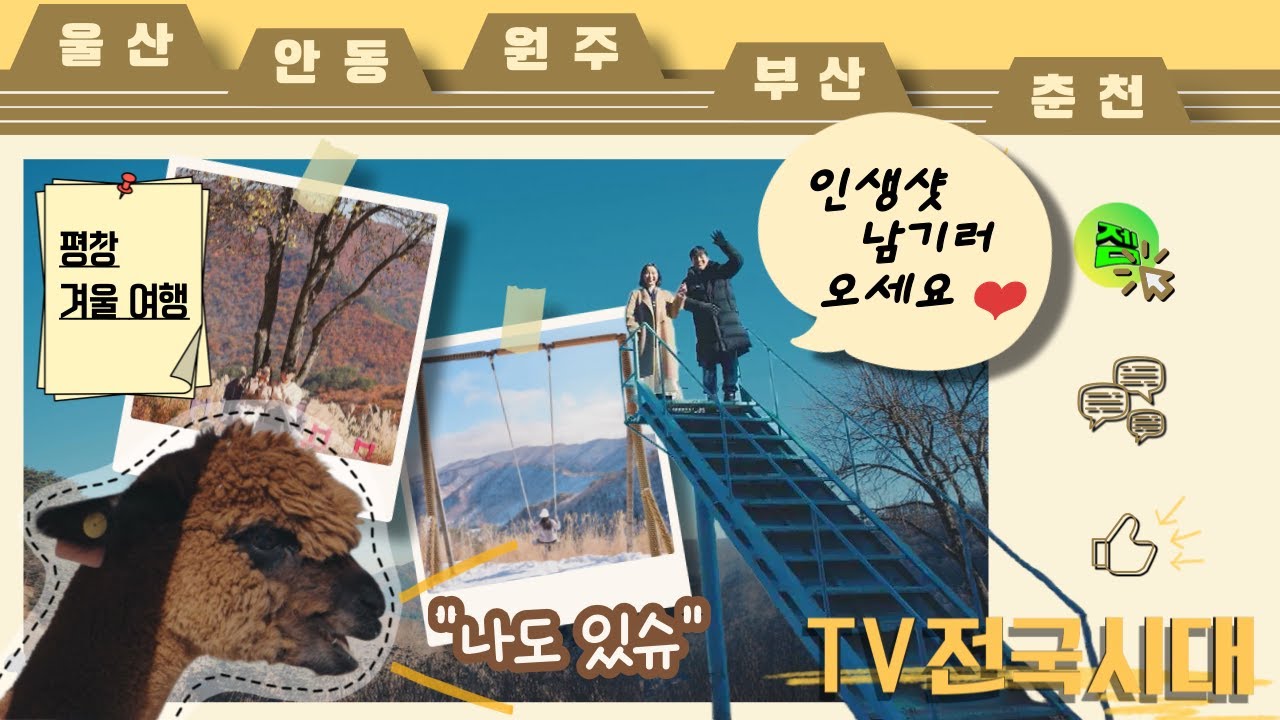 사계절 모두 아름다운 사진 명소, 발왕산 알파카목장! 260126(월) [TV전국시대]