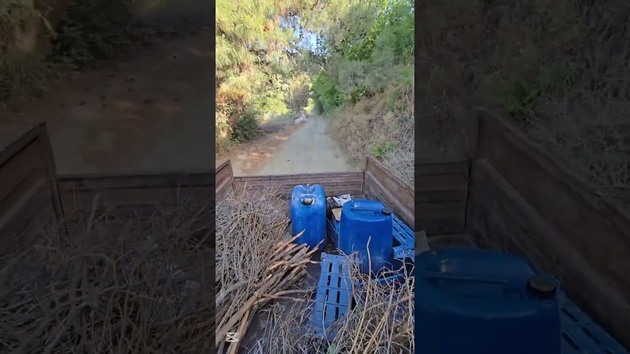 Defne sabunu yapmaya gidiyoruz(Devamı i&ccedil;in takipte kalın )#keşfet #aboneol #shorts #keşfeted&uuml;ş