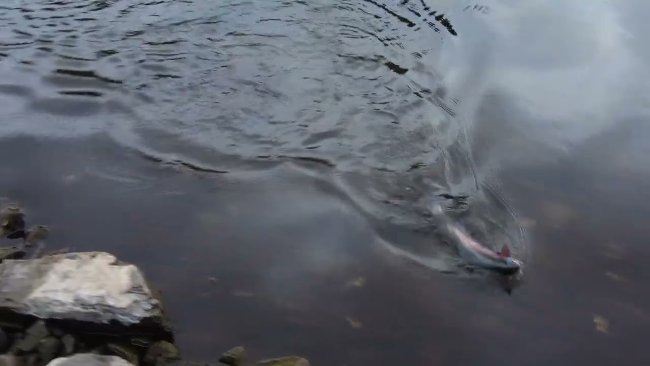 February Fly Fishing
